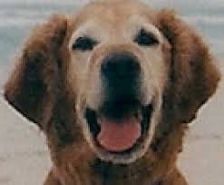 HadAPenguin's profile picture. Rams and Twolves enthusiast. Beringers #1 fan