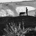 OilMill_project (@oilmill_project) Twitter profile photo OilMill_project (@oilmill_project) Twitter profile photo