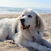 gday (@s2hintz) 's Twitter Profile