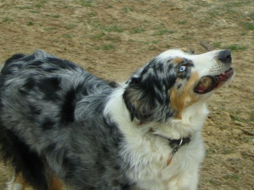 ScottCoco's profile picture. 