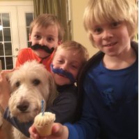 Andrew Hoellein (@ahoellein) 's Twitter Profile