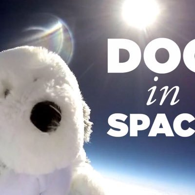 I'm floating around in space. Pretty special, no?
