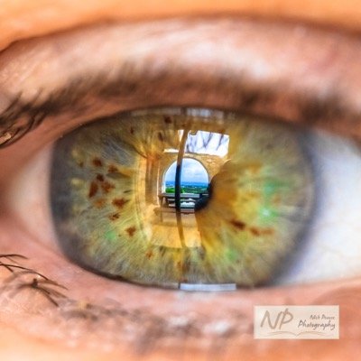 nickpearcephoto's profile picture. Dog rescuer, jazz lover, married to the camera!