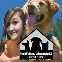 The Whitney Wisconsin K9 Foundation: Proudly servicing pups since puberty
Founded by: @WhitnyWisconsin
(parody account)