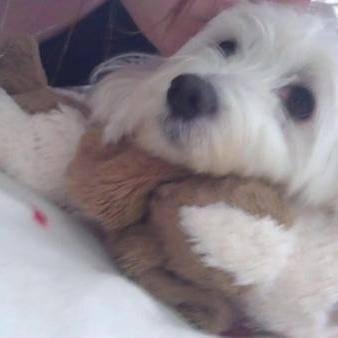 RyoPiNi's profile picture. #FFVII - #Supernatural #BTVS - #RHCP #BTS #Ateez #TxT #Skz #Enhypen #P1H