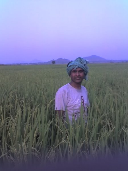 @rdola