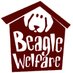 Beagle Welfare (@BeagleWelfare) Twitter profile photo