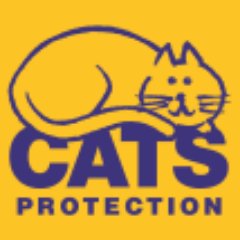 Caring for and rehoming cats in the Royal Wootton Bassett and district area. To adopt a cat, contact our rehoming team on 07917 862514 or wbcats@hotmail.com
