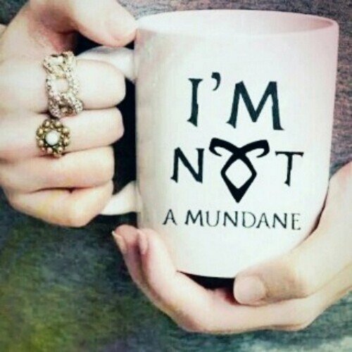 AxleyBieber's profile picture. AxleyHerrera; 17.  Never Say Never✌.