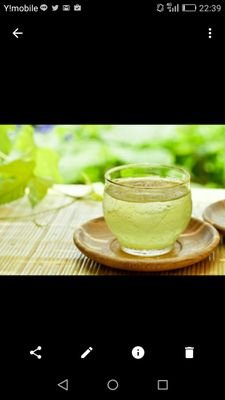 rr409DcqenMgHdM's profile picture. 