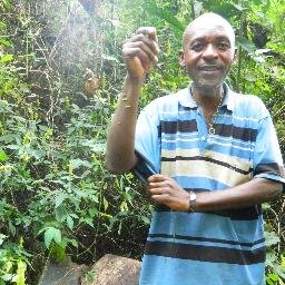 ErnestVunan's profile picture. SATEC is a community based organization in Big Babanki North West region of Cameroon dealing with the issue of sustainable development.