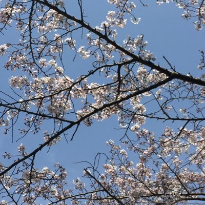 exile06261's profile picture. 