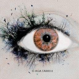 semolina2008's profile picture. 