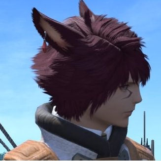 竜騎士大好きSenju_Kannon@Garudaです。FF14主軸で、FFナンバリングとスプラトゥーン3、ガンダム・アニメと映画など