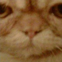 Falso Intérprete💚 (@shomepregunto) 's Twitter Profile Photo Falso Intérprete💚 (@shomepregunto) 's Twitter Profile Photo
