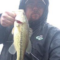 Derrick Freeman (@d_crappie) 's Twitter Profile