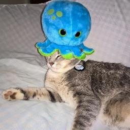 LDavSka's profile picture. Musician, reader of books, player of games, cephalopod, meow.