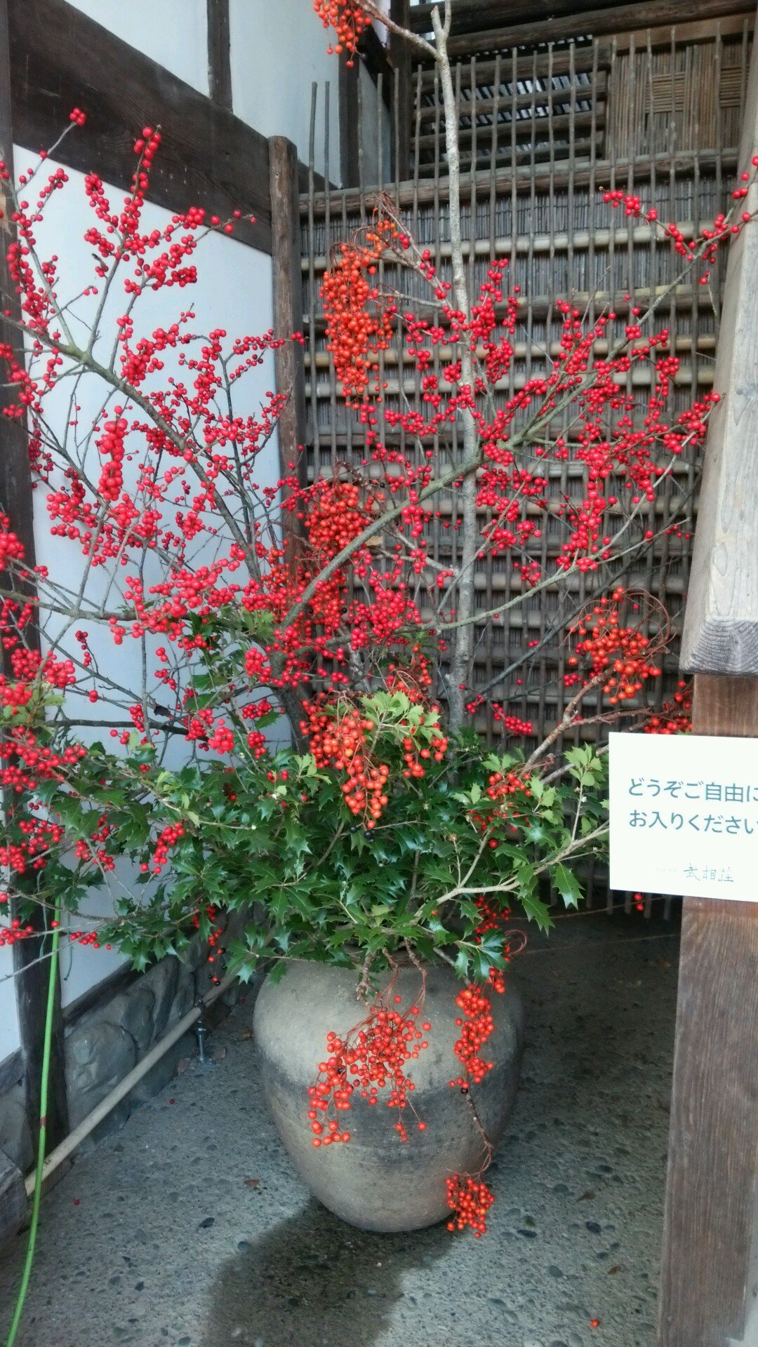 ootonemei's profile picture. 