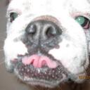 Faith Williamson - @ITalkToMuch98 - Twitter