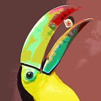 PICOfino (@picofino_) 's Twitter Profile