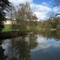 Katharine Newton KC (@katharinewton) 's Twitter Profile