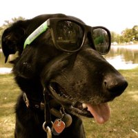 Scott Thomson (@scottthomson80) 's Twitter Profile Photo