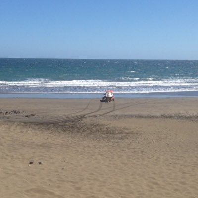 javim91's profile picture. 