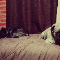 fernando2069's profile picture. atendiendo boludos libertarios..............