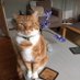 WilluM (@derektruffle) Twitter profile photo WilluM (@derektruffle) Twitter profile photo