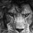 urwa_salahuddin's profile image