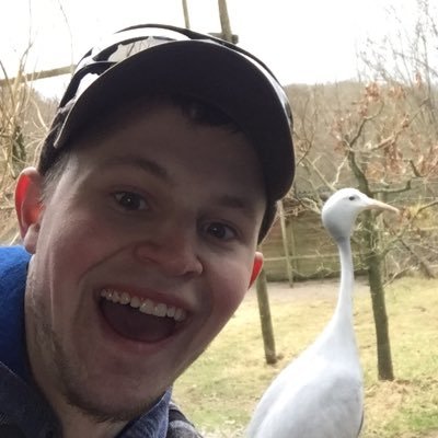 Gilli2mac's profile picture. 