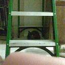 Heather Vowell - @vowellh - Twitter