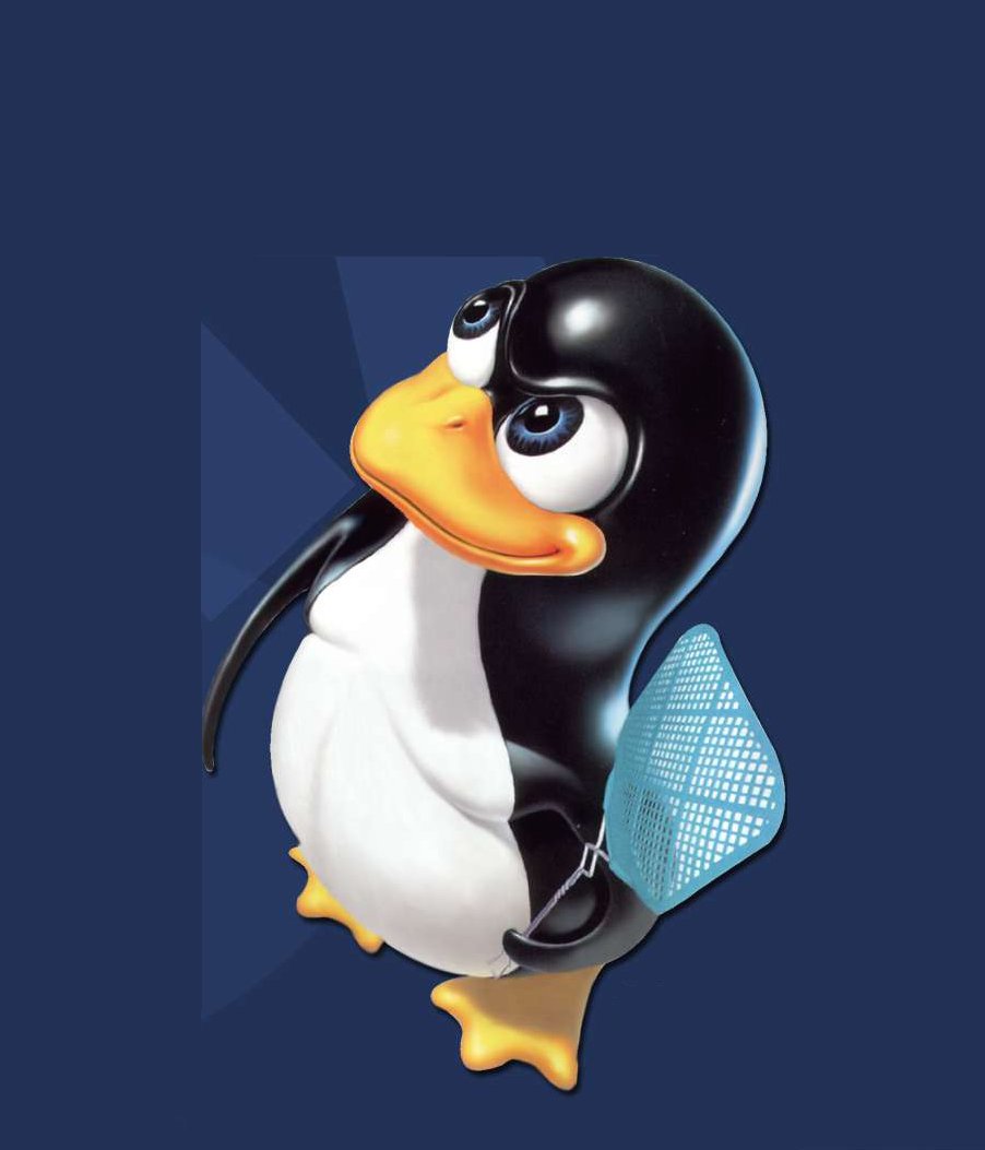 SandroHO_IT's profile picture. 