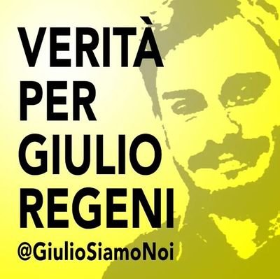 andrea_falivene's profile picture. World Famus Litigator +/-