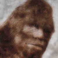 Really Sasquatch (@reallysasquatch) 's Twitter Profile Photo Really Sasquatch (@reallysasquatch) 's Twitter Profile Photo