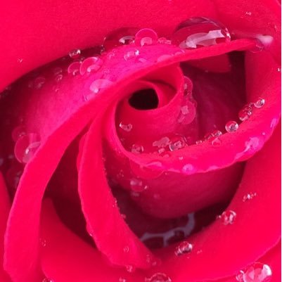 doreen_leaf's profile picture. 📚Bibliophile, 💦pluviophile, 🚂railfan, hiking/walking,🌻gardening, meditation, yoga...standing at the intersection where science & spirituality meet.