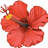 HonAdv's profile image