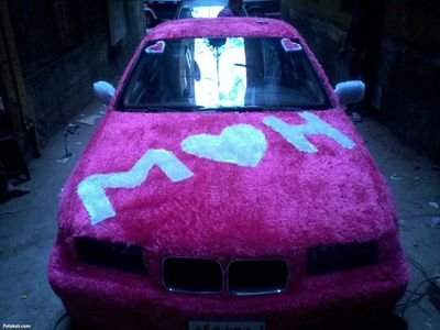 bSPlcBT3GXjhSrX's profile picture. 