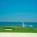 Punta Cana Golf (@puntacanagolf) Twitter profile photo Punta Cana Golf (@puntacanagolf) Twitter profile photo