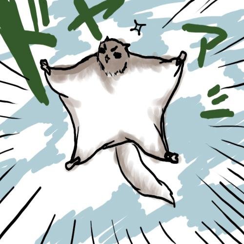 ももんがは留守です。さんのプロフィール画像
