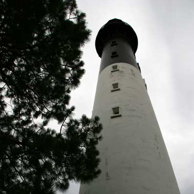 Hunting_Island's profile picture. Preserving a piece of South Carolina History
