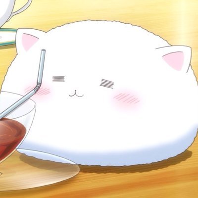 多趣味人間です。。。