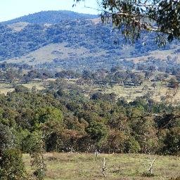 A grassroots community group dedicated to the preservation of the Murrumbidgee River Corridor in Tuggeranong