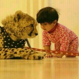 sK8LGFTj9CoMTHf's profile picture. 