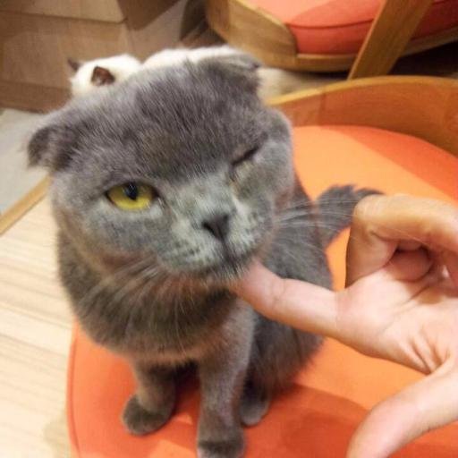 jkbelle97's profile picture. In favour of the issues around our world