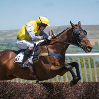 Bratton Down Racing (@brattondown) 's Twitter Profile