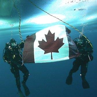 TerryMcAusland's profile picture. After 25 years, real world gets me back. Goodbye Navy, Hello real weird world. Just another square in an egg dominated orb. Green Acres is where I want to be!