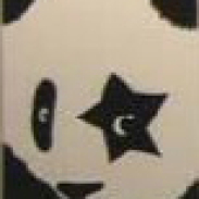pandaju's profile picture. 