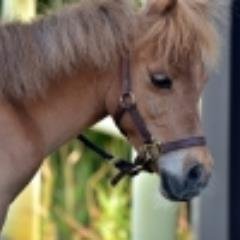 rhapsodyingrey's profile picture. 会社員をしながら、土日に短編小説を書いています。北九州文学協会文学賞入選。やまなし文学賞最終候補（ベスト20）。ファイナンシャルプランナー１級。ホッピーと大衆居酒屋を好みます。高校野球も好き。にいがたショートストーリー『帰郷の途中で』掲載中。