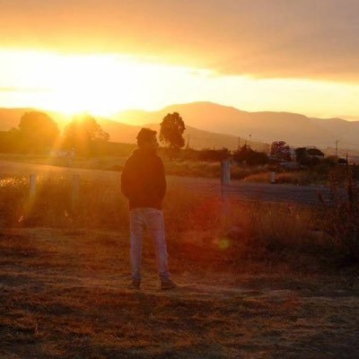 adortega_'s profile picture. 